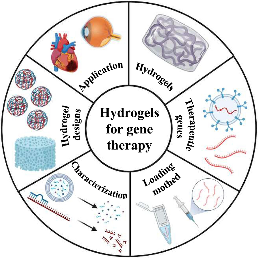 Developing hydrogels for gene therapy and tissue engineering