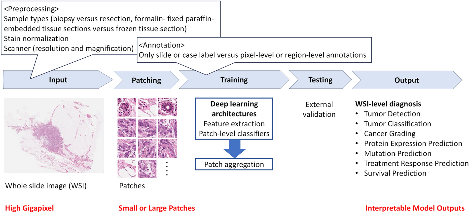 Current status and prospects of artificial intelligence in breast cancer pathology: convolutional neural networks to prospective Vision Transformers