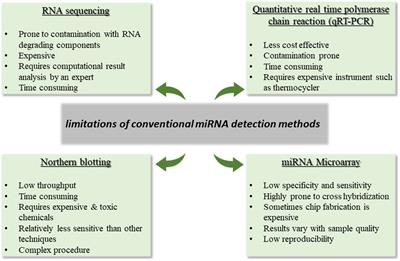 Current strategies for early epithelial ovarian cancer detection using miRNA as a potential tool