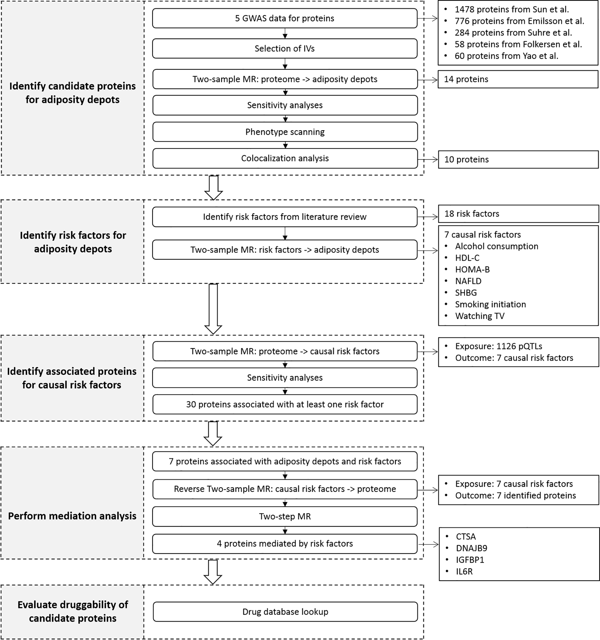 Clinically relevant plasma proteome for adiposity depots: evidence from systematic mendelian randomization and colocalization analyses