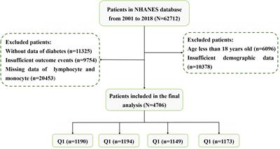 The association between lymphocyte-to-monocyte ratio and all-cause mortality in obese hypertensive patients with diabetes and without diabetes: results from the cohort study of NHANES 2001–2018