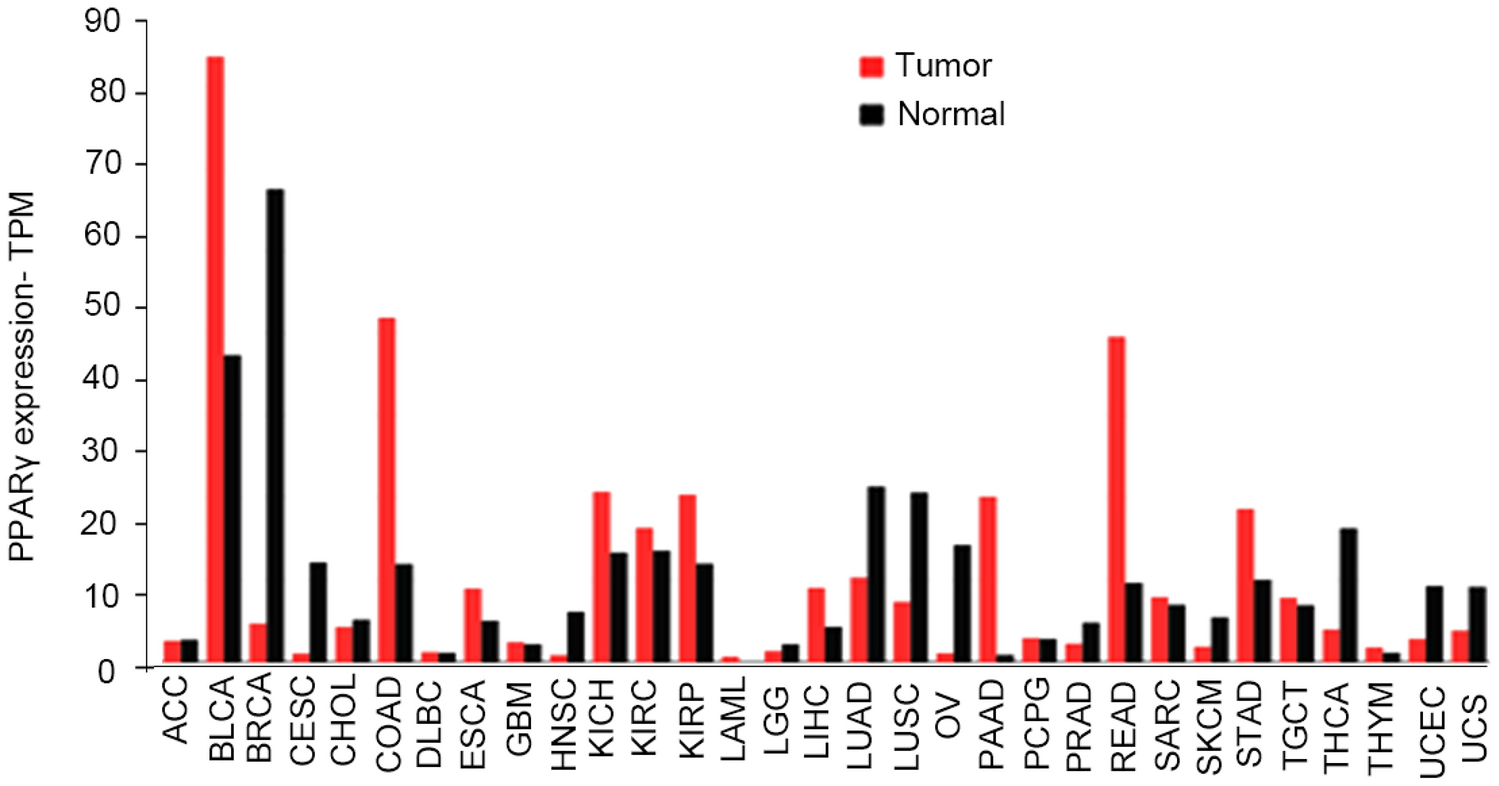 Dual function of activated PPARγ by ligands on tumor growth and immunotherapy