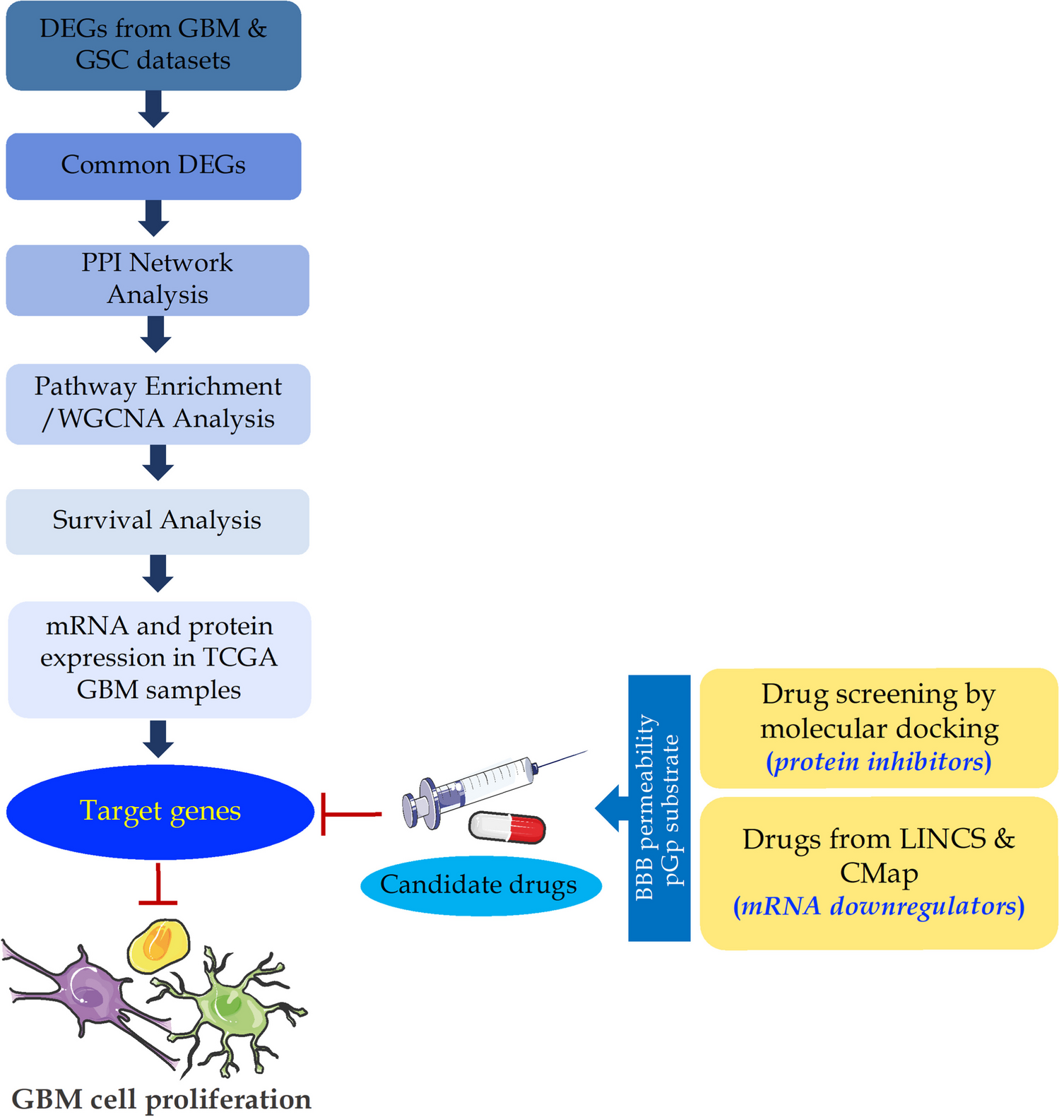 A Multistep In Silico Approach Identifies Potential Glioblastoma Drug Candidates via Inclusive Molecular Targeting of Glioblastoma Stem Cells