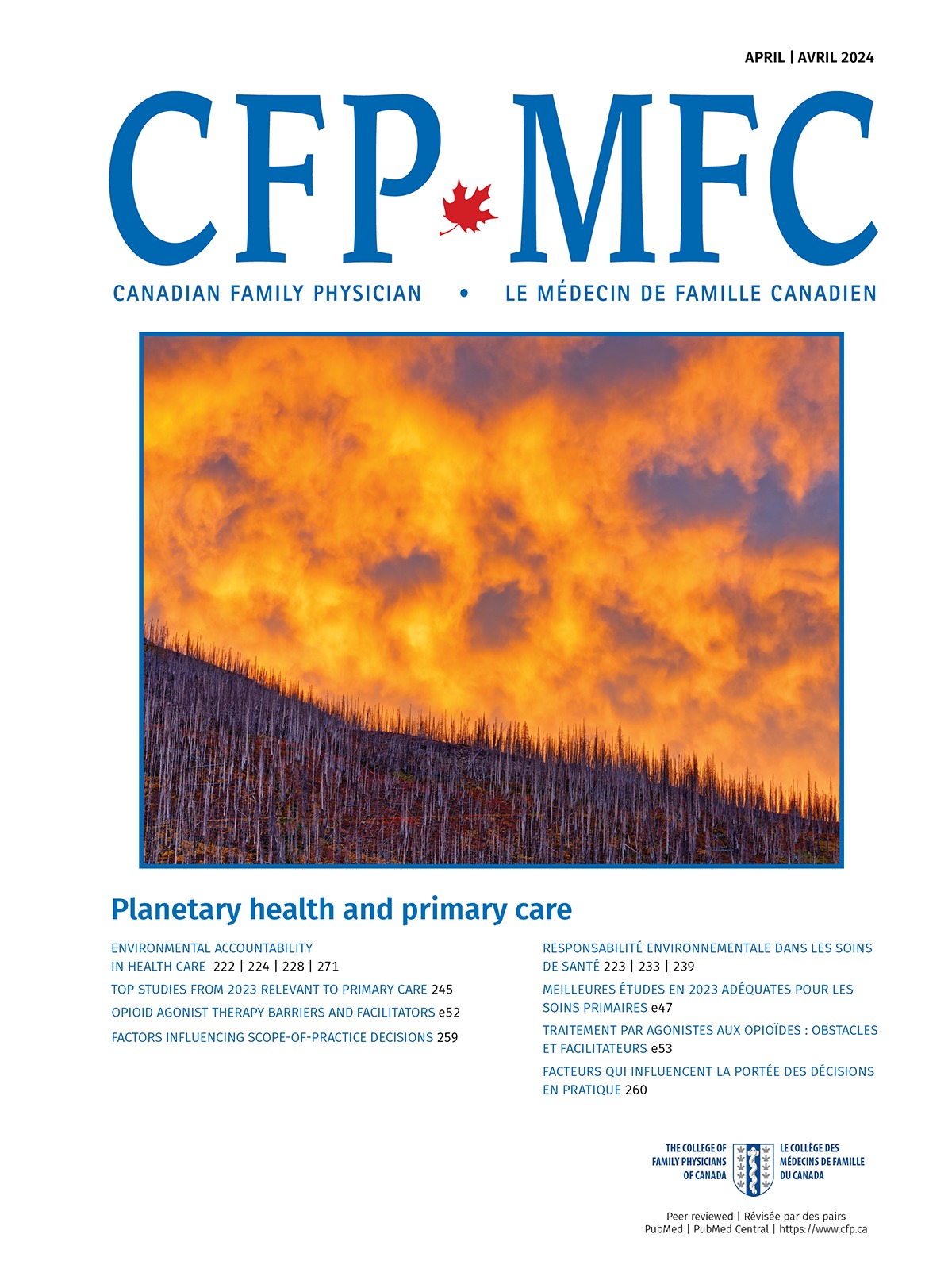Planetary health lens for primary care: Considering environmental sustainability offers benefits to patients and to providers