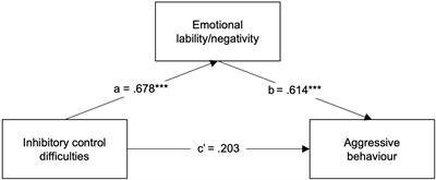 Emotion dysregulation and depressive symptoms mediate the association between inhibitory control difficulties and aggressive behaviour in children with ADHD