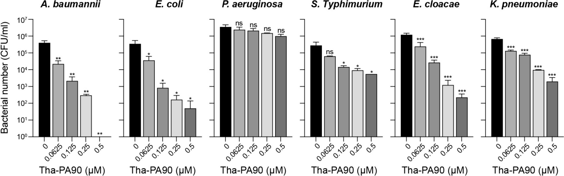 Antimicrobial peptide thanatin fused endolysin PA90 (Tha-PA90) for the control of Acinetobacter baumannii infection in mouse model
