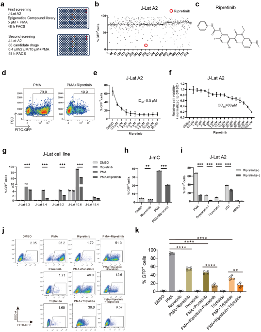 Ripretinib inhibits HIV-1 transcription through modulation of PI3K-AKT-mTOR