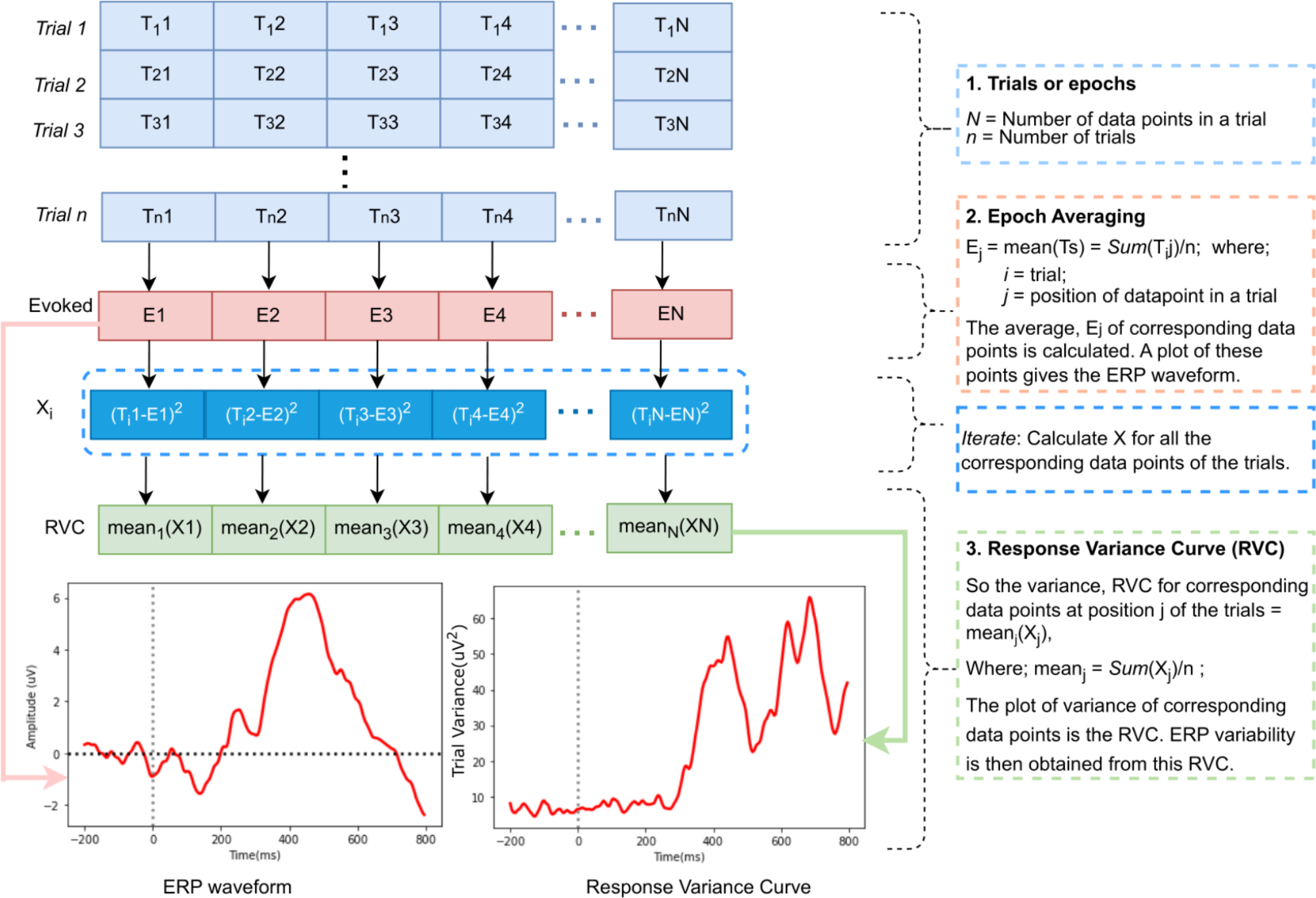 Prefrontal intra-individual ERP variability and its asymmetry: exploring its biomarker potential in mild cognitive impairment