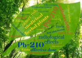 Assessment of cancer risk and radiological effects from 210Po and 210Pb with consumption of wild medicinal herbal plants