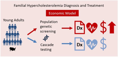 An evaluation of the cost-effectiveness of population genetic screening for familial hypercholesterolemia in US patients