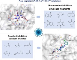 Non-peptidic inhibitors targeting SARS-CoV-2 main protease: A review