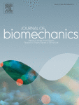 The biomechanical influence of transtibial Bone-Anchored limbs during walking