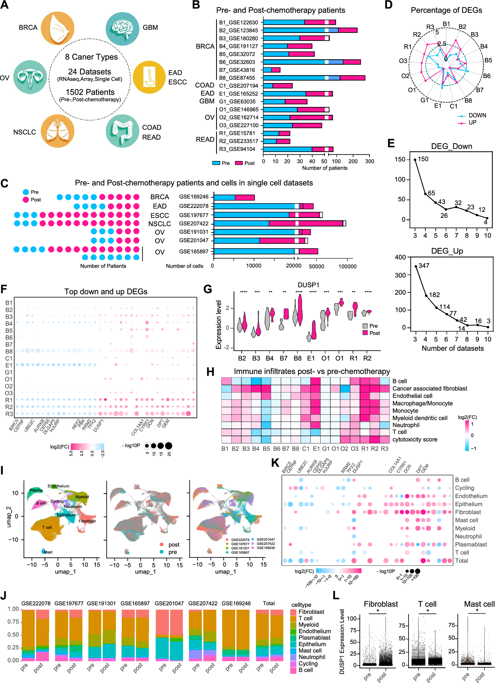Pan-cancer transcriptional atlas of minimal residual disease links DUSP1 to chemotherapy persistence