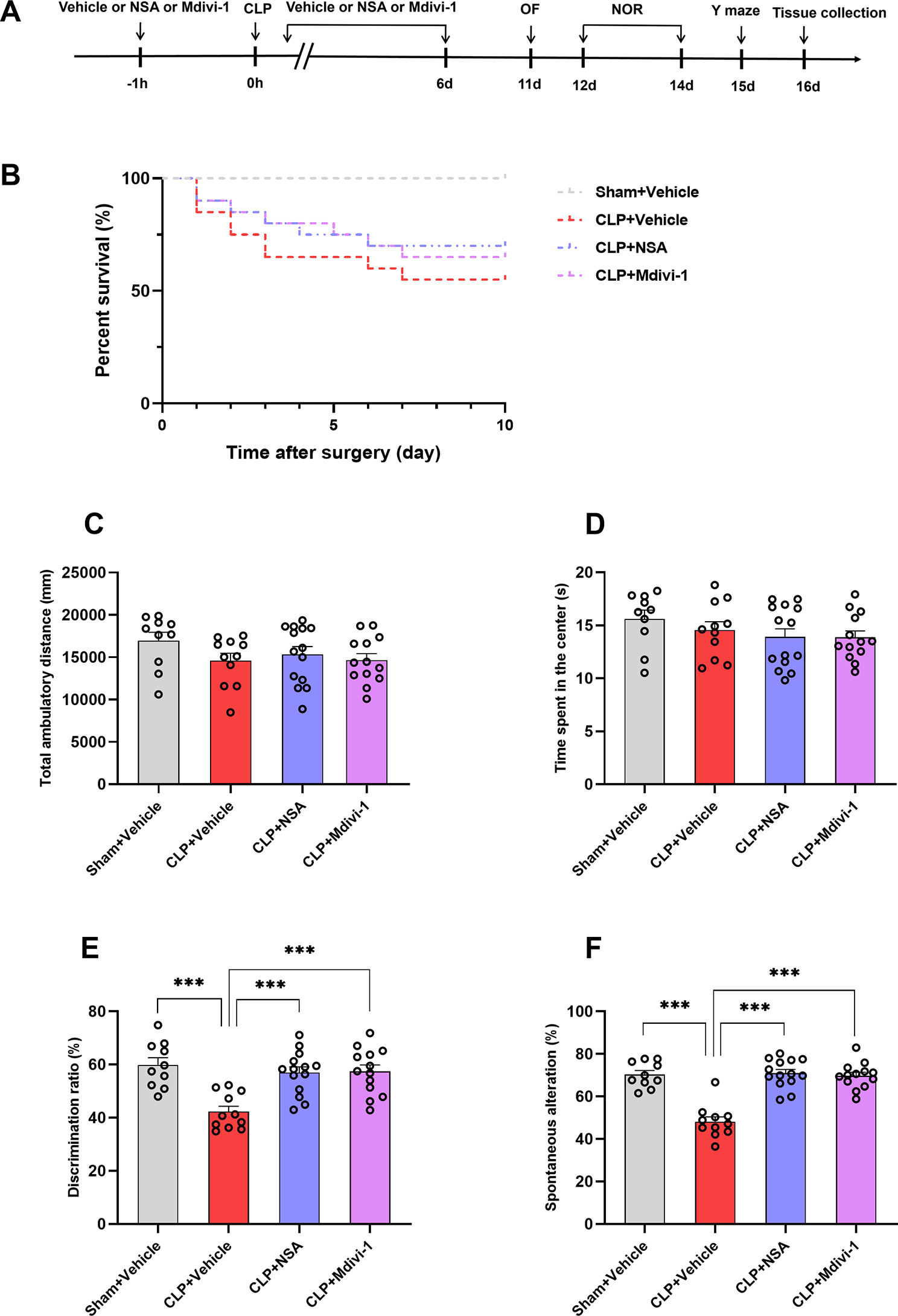 GSDMD/Drp1 signaling pathway mediates hippocampal synaptic damage and neural oscillation abnormalities in a mouse model of sepsis-associated encephalopathy
