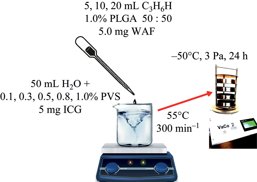 Synthesis of PLGA Nanoparticles Filled with Indocyanine Green and Warfarin for Biomedical Application, Study of Their Physical and Chemical Characteristics, Natural Biodistribution and Penetration through the Hematoplacental Barrier