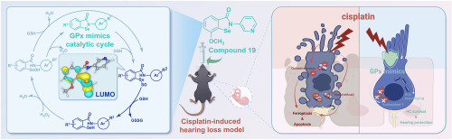Quantum chemistry calculation-aided discovery of potent small-molecule mimics of glutathione peroxidases for the treatment of cisplatin-induced hearing loss