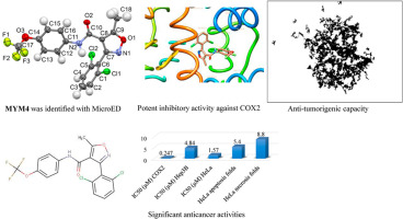 Exploration of isoxazole analogs: Synthesis, COX inhibition, anticancer screening, 3D multicellular tumor spheroids, and molecular modeling