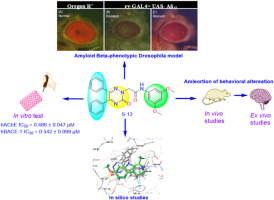 Design, Synthesis, and Biological Evaluation of Some 2-(3-oxo-5,6-diphenyl-1,2,4-triazin-2(3H)-yl)-N-phenylacetamide Hybrids as MTDLs for Alzheimer’s Disease Therapy