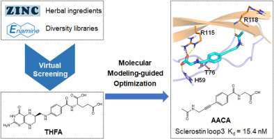 Discovery of the small molecular inhibitors against sclerostin loop3 as potential Anti-Osteoporosis agents by structural based virtual screening and molecular design