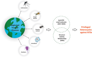 Privileged Small Molecules against Neglected Tropical Diseases: A perspective from Structure Activity Relationships