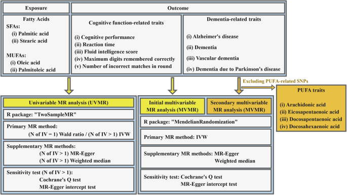 Effects of saturated and monounsaturated fatty acids on cognitive impairment: evidence from Mendelian randomization study