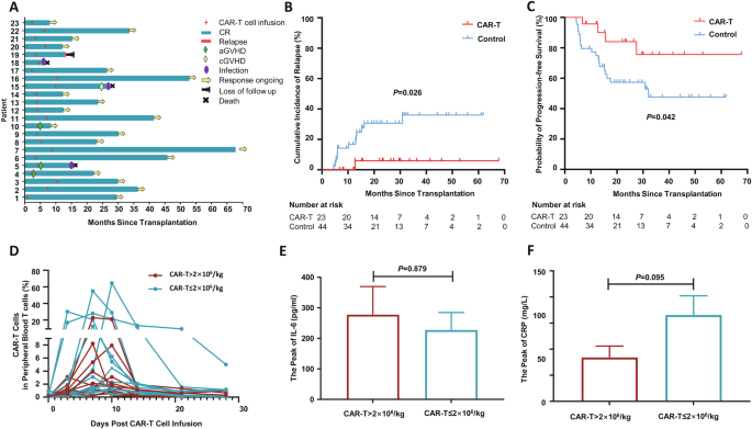 Prophylactic donor-derived CD19 CAR-T cell infusion for preventing relapse in high-risk B-ALL after allogeneic hematopoietic stem cell transplantation