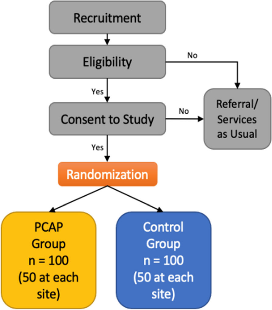 Study protocol for a randomized controlled trial of the Parent–Child Assistance Program: a case management and home visiting program for people using substances during pregnancy