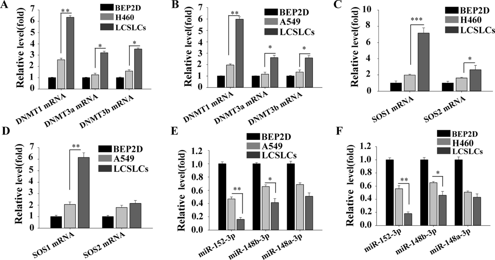 DNMT1/miR-152-3p/SOS1 signaling axis promotes self-renewal and tumor growth of cancer stem-like cells derived from non-small cell lung cancer