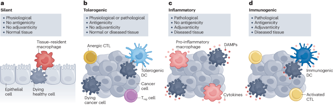 Targeting immunogenic cell stress and death for cancer therapy