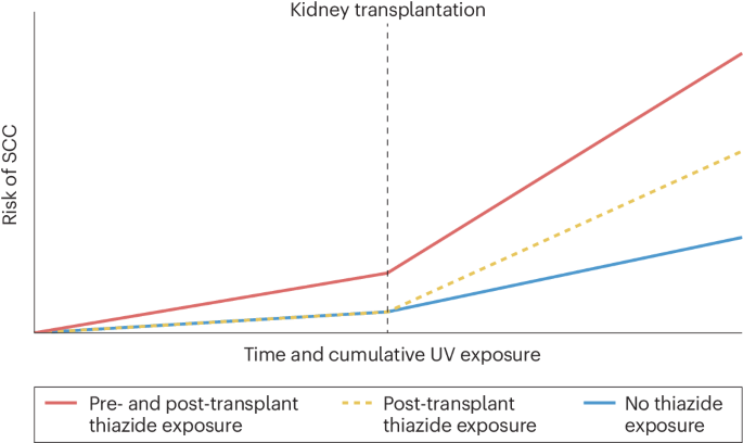 Thiazides in kidney transplant recipients: skin in the game