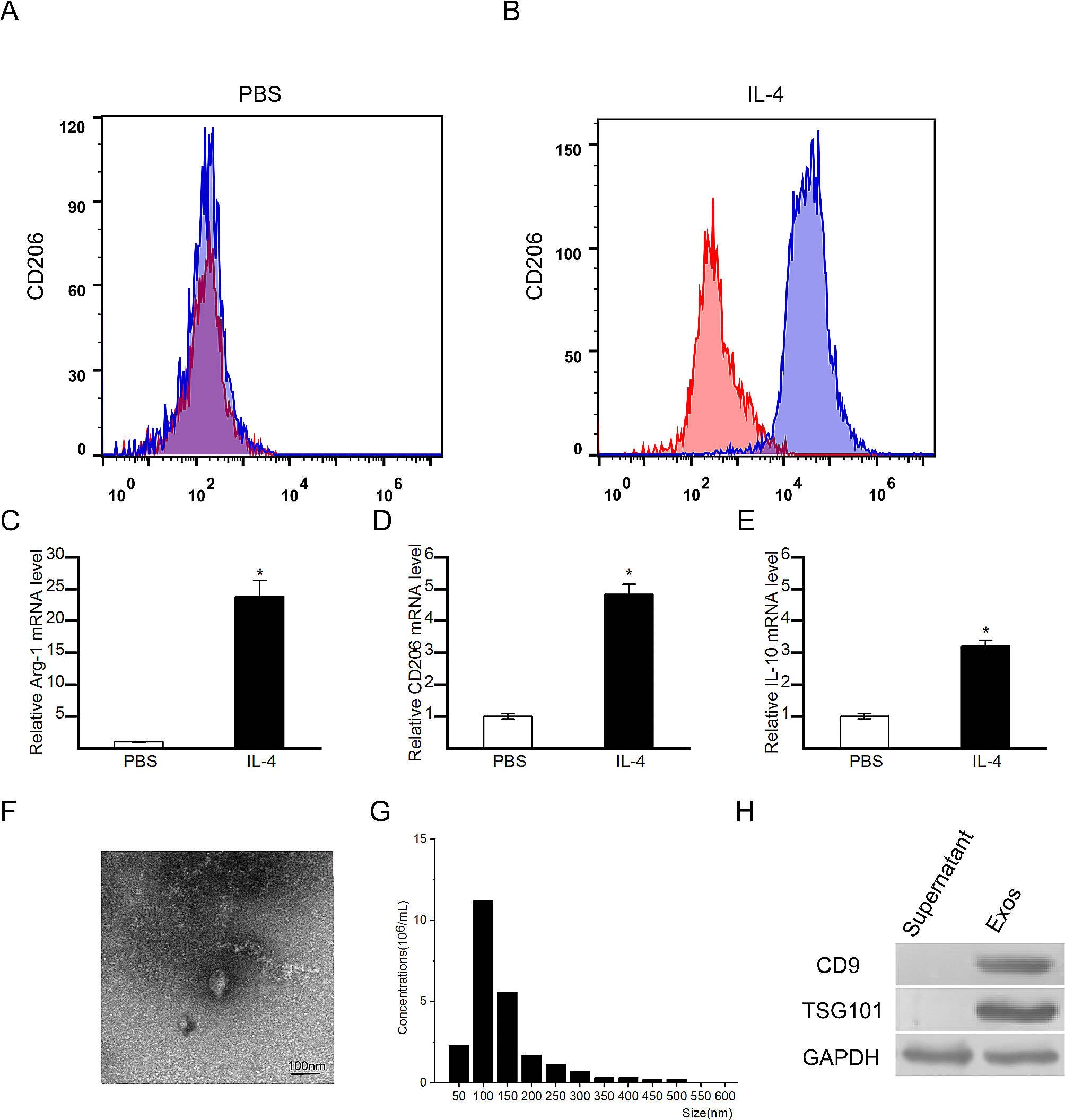 Exosomes derived from M2 macrophages prevent steroid-induced osteonecrosis of the femoral head by modulating inflammation, promoting bone formation and inhibiting bone resorption