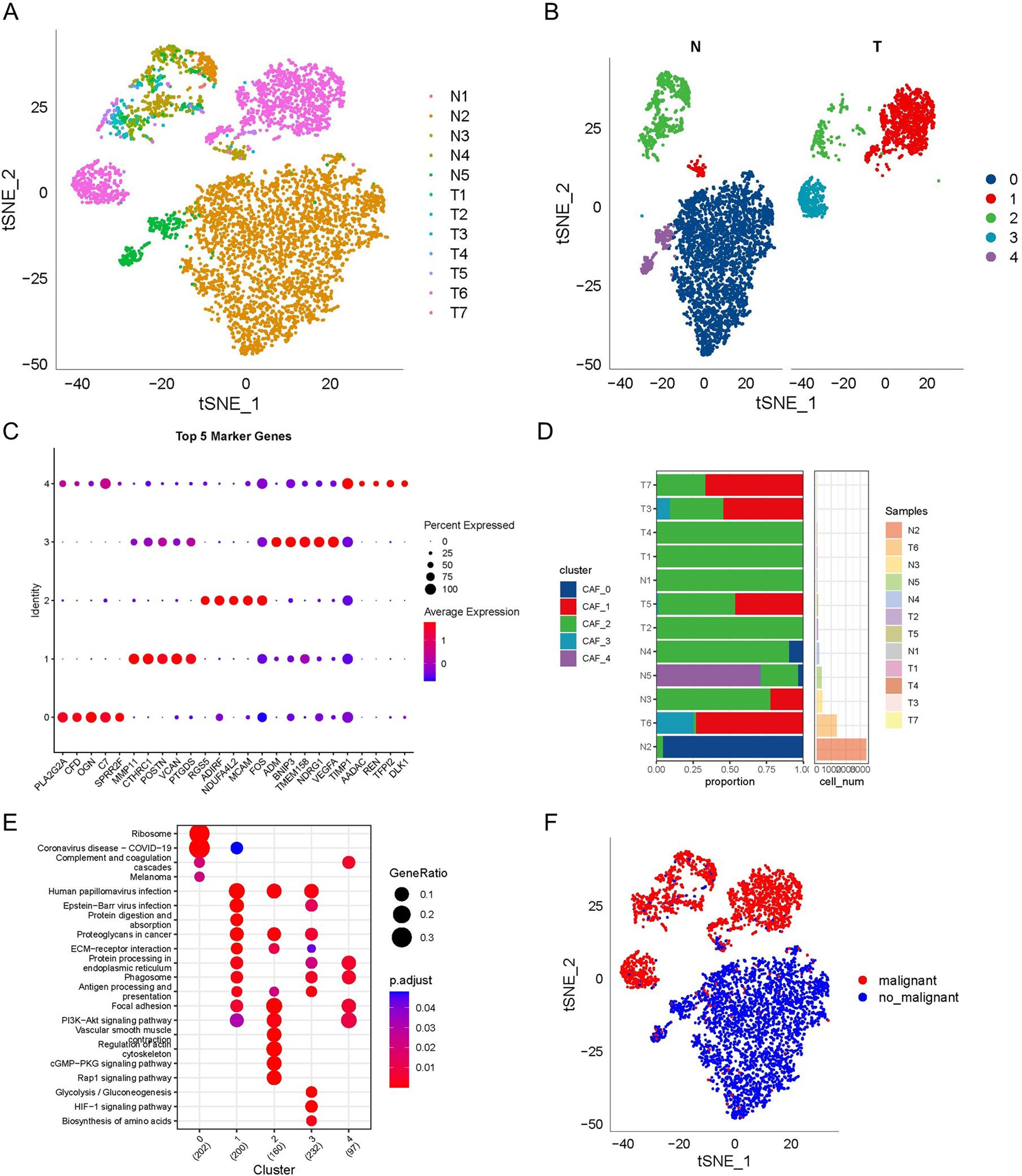 Integration of single-cell RNA-seq and bulk RNA-seq data to construct and validate a cancer-associated fibroblast-related prognostic signature for patients with ovarian cancer