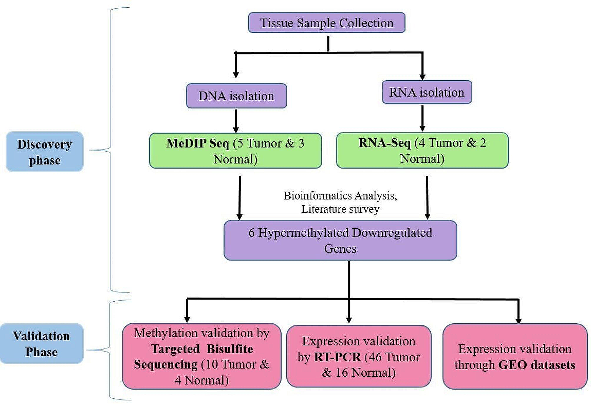 Comprehensive DNA methylation profiling by MeDIP-NGS identifies potential genes and pathways for epithelial ovarian cancer
