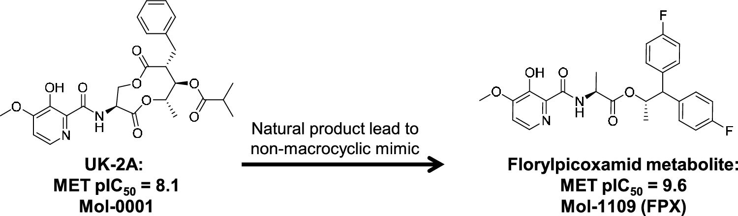 From UK-2A to florylpicoxamid: Active learning to identify a mimic of a macrocyclic natural product