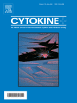 Multi-species synbiotic supplementation increased fecal short chain fatty acids and anti-inflammatory cytokine interleukin-10 in adult men with dyslipidemia; A randomized, double-blind, clinical trial