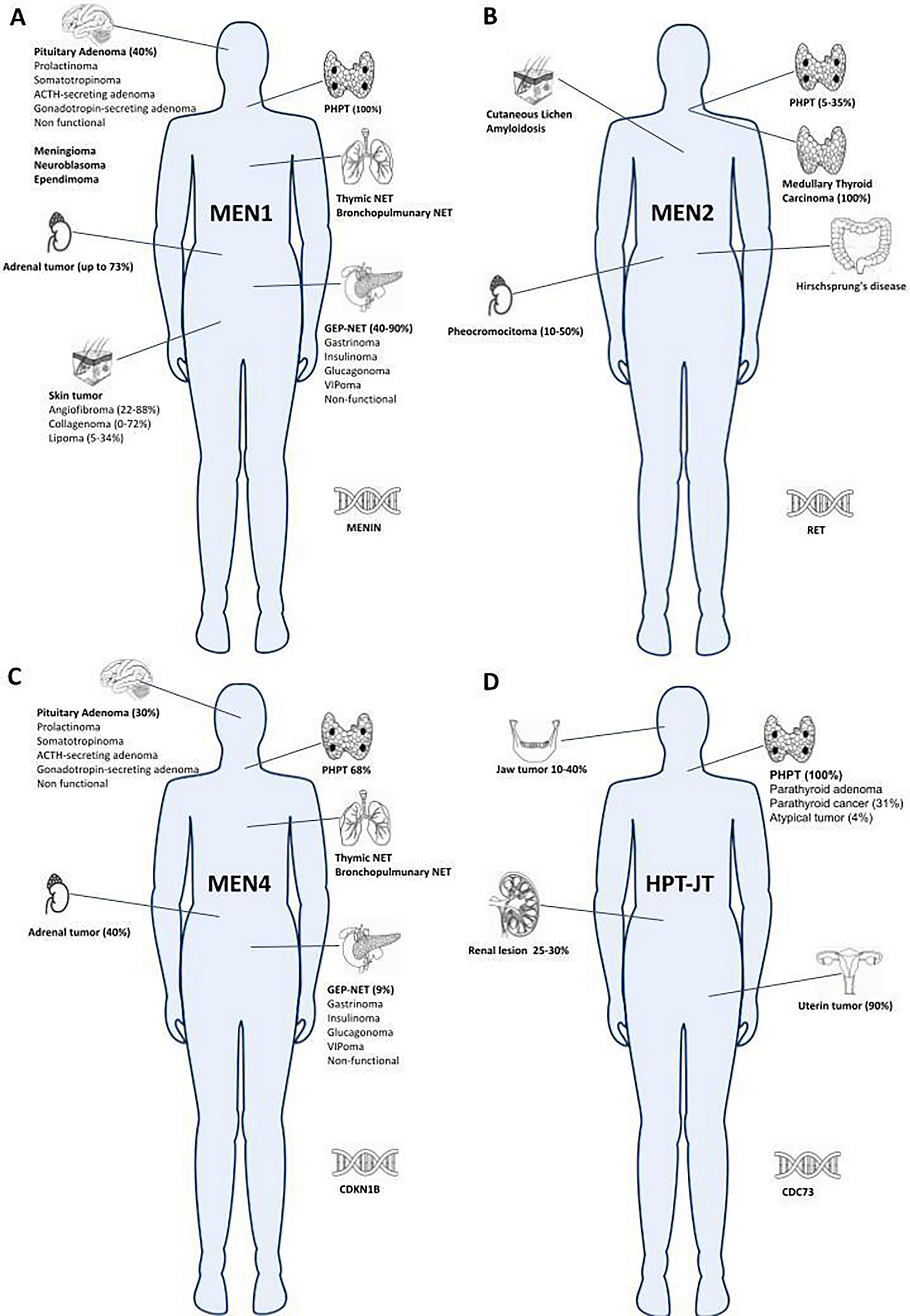 Familial states of primary hyperparathyroidism: an update