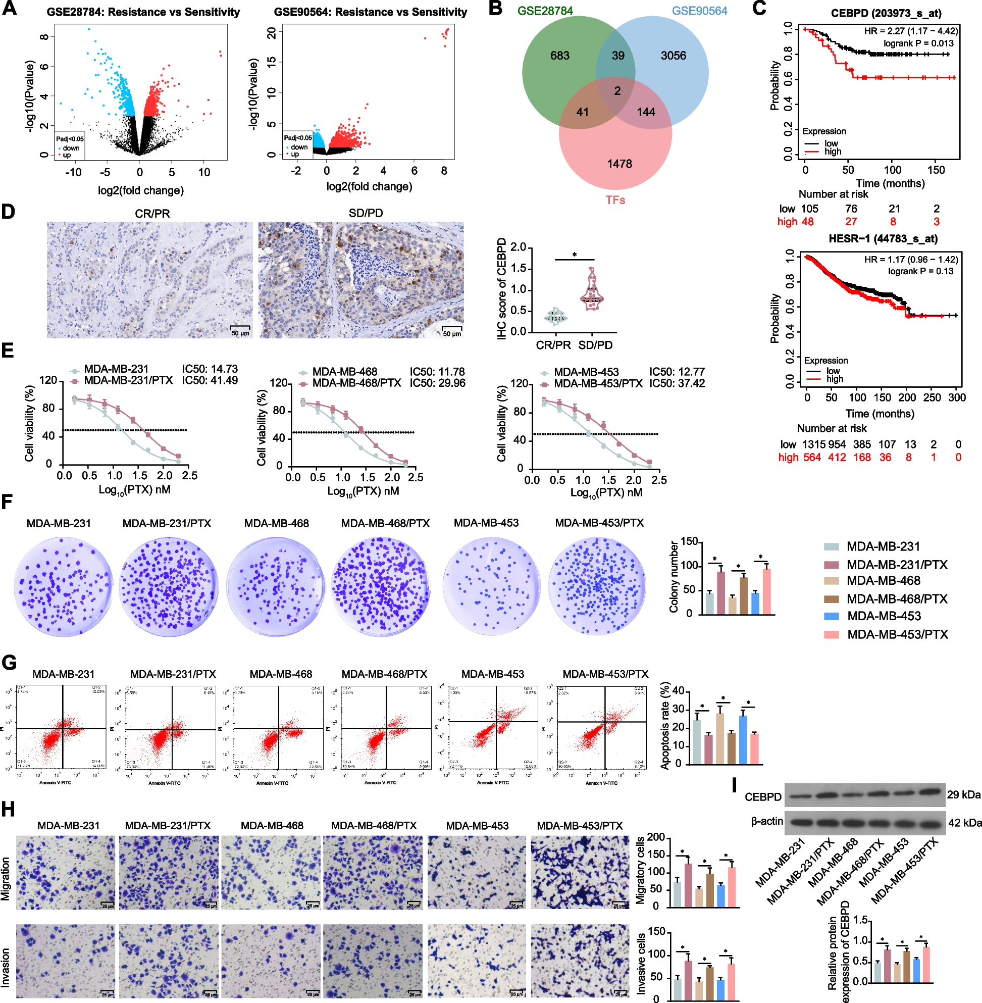 CCAAT enhancer binding protein delta activates vesicle associated membrane protein 3 transcription to enhance chemoresistance and extracellular PD-L1 expression in triple-negative breast cancer