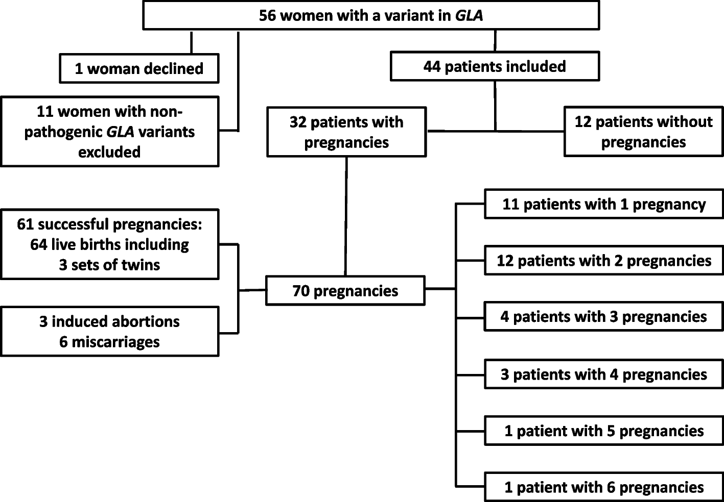 Pregnancy outcomes of Fabry disease in Austria (PROFABIA)-a retrospective cohort-study