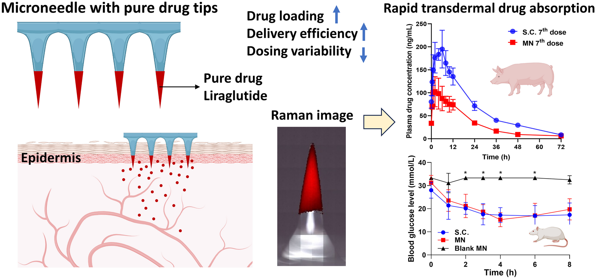 Microneedle patch with pure drug tips for delivery of liraglutide: pharmacokinetics in rats and minipigs