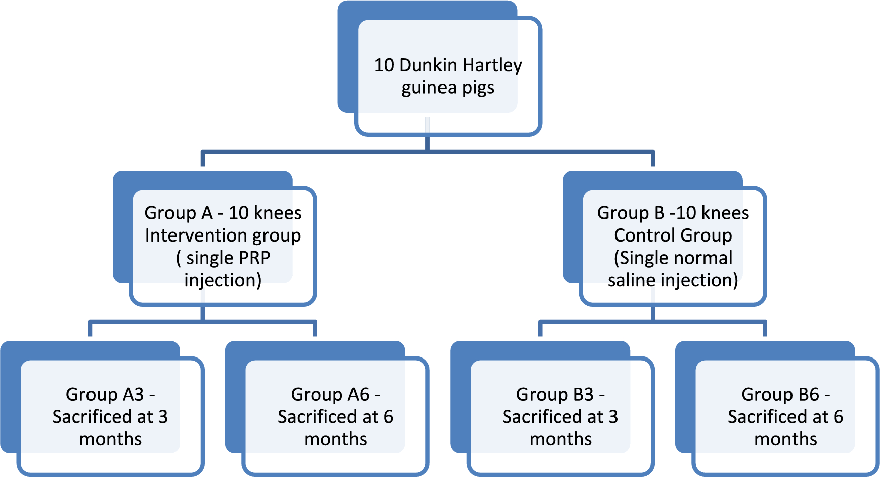 Chondroprotective Effects of a Single PRP Injection in a Spontaneous Osteoarthritis Model of Dunkin Hartley Guinea Pig: An Immunohistochemical Analysis
