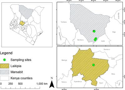 Tissue-specific localization of tick-borne pathogens in ticks collected from camels in Kenya: insights into vector competence