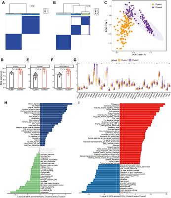Single-cell and bulk RNAseq unveils the immune infiltration landscape and targeted therapeutic biomarkers of psoriasis