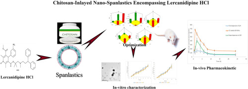 Development, optimization, in-vitro, and in-vivo evaluation of chitosan-inlayed nano-spanlastics encompassing lercanidipine HCl for enhancement of bioavailability