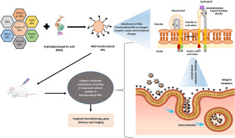 αvβ3 integrin targeting RGD peptide-based nanoparticles as an effective strategy for selective drug delivery to tumor microenvironment