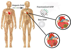 Magnetic nanoparticles and their hybrid biomaterials for drug delivery and theranostic applications in cardiovascular diseases