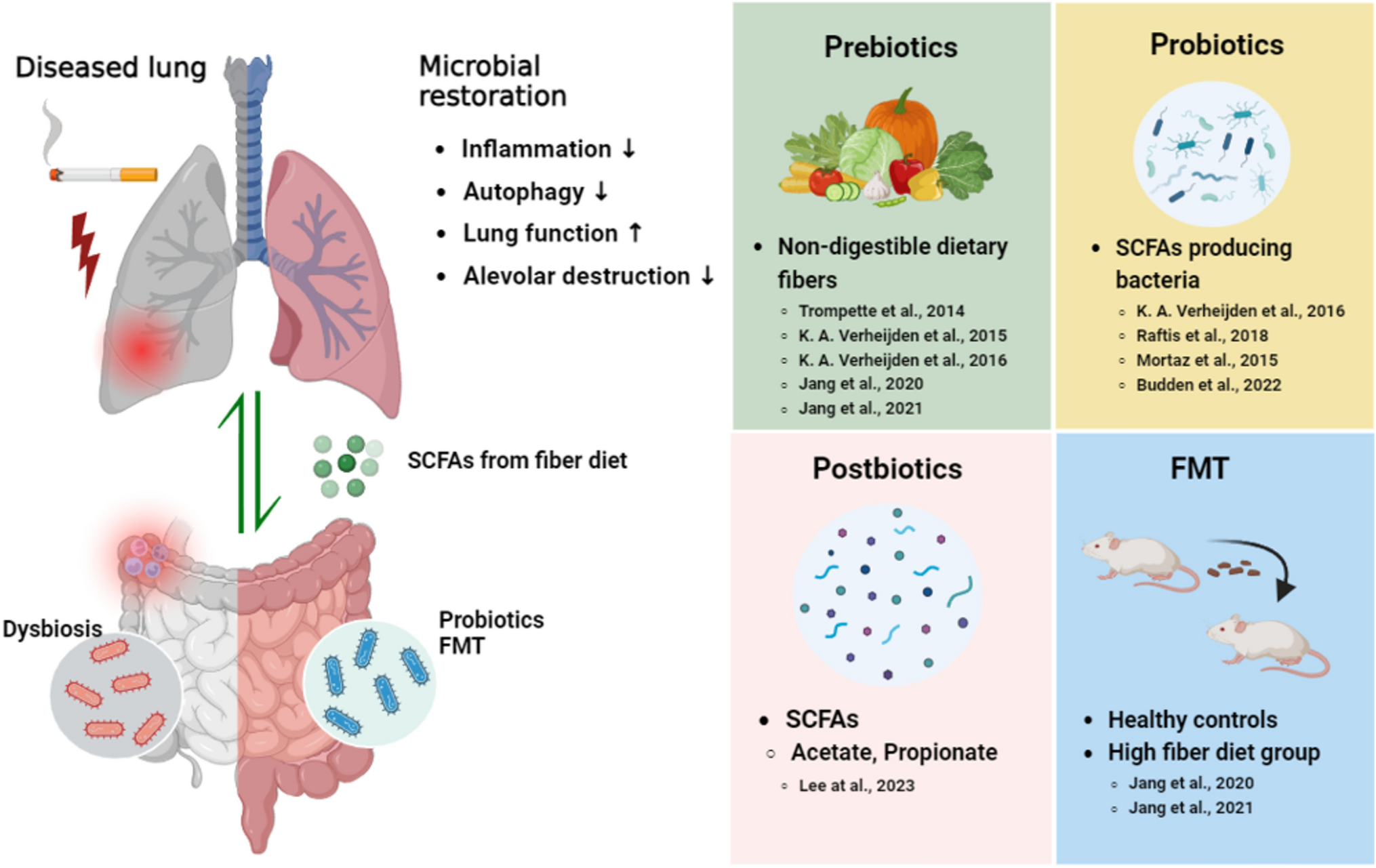 Application of Microbiome-Based Therapies in Chronic Respiratory Diseases