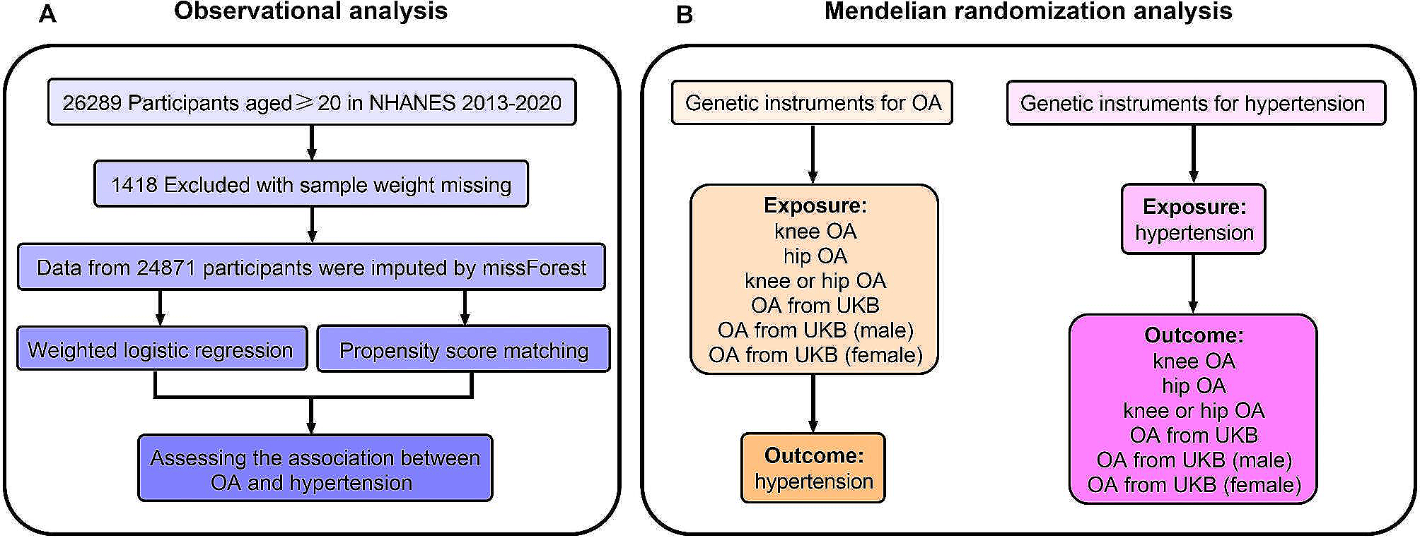 Osteoarthritis and hypertension: observational and Mendelian randomization analyses