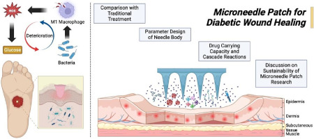 Functional biomacromolecules-based microneedle patch for the treatment of diabetic wound