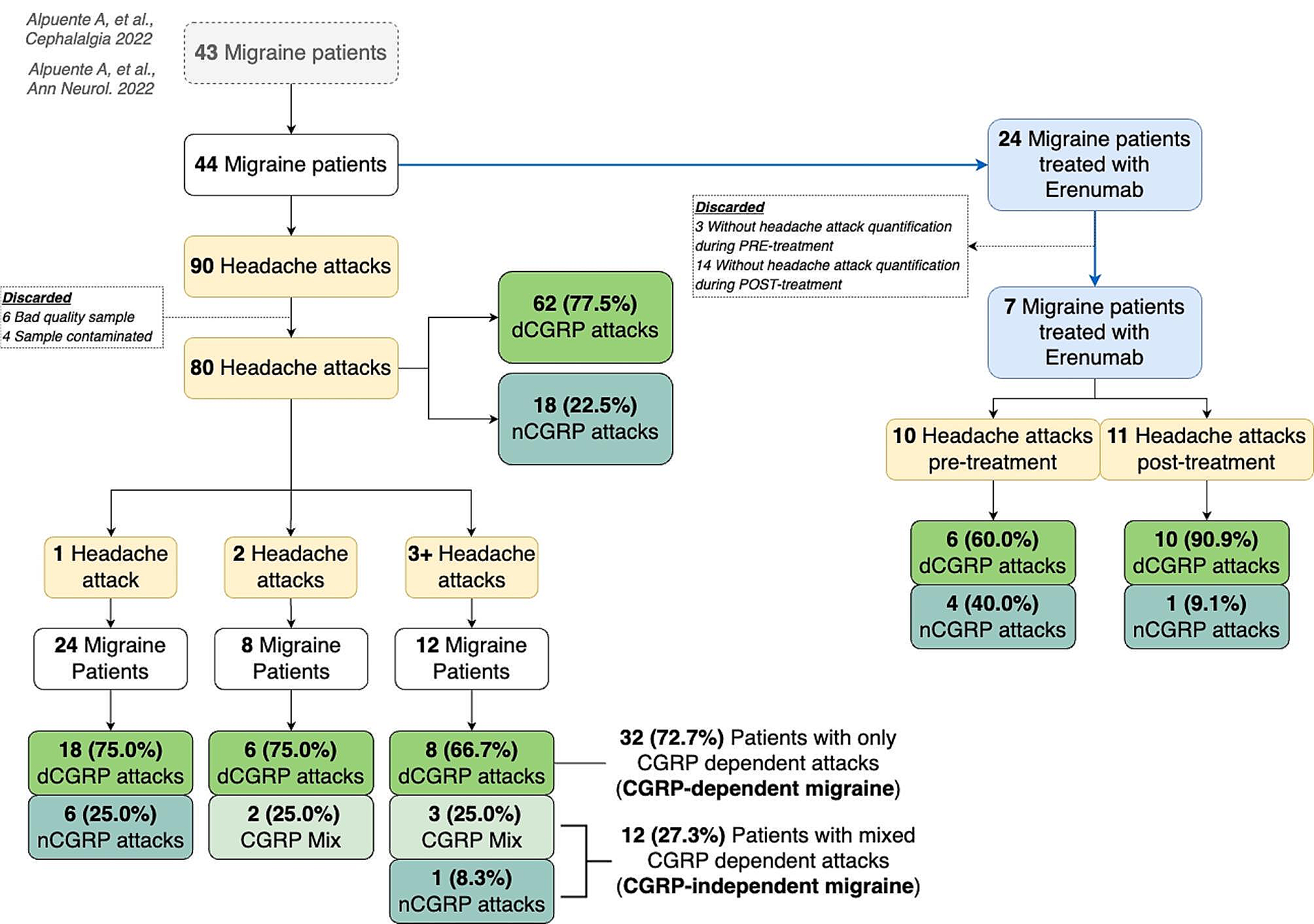 Dynamic fluctuations of salivary CGRP levels during migraine attacks: association with clinical variables and phenotypic characterization