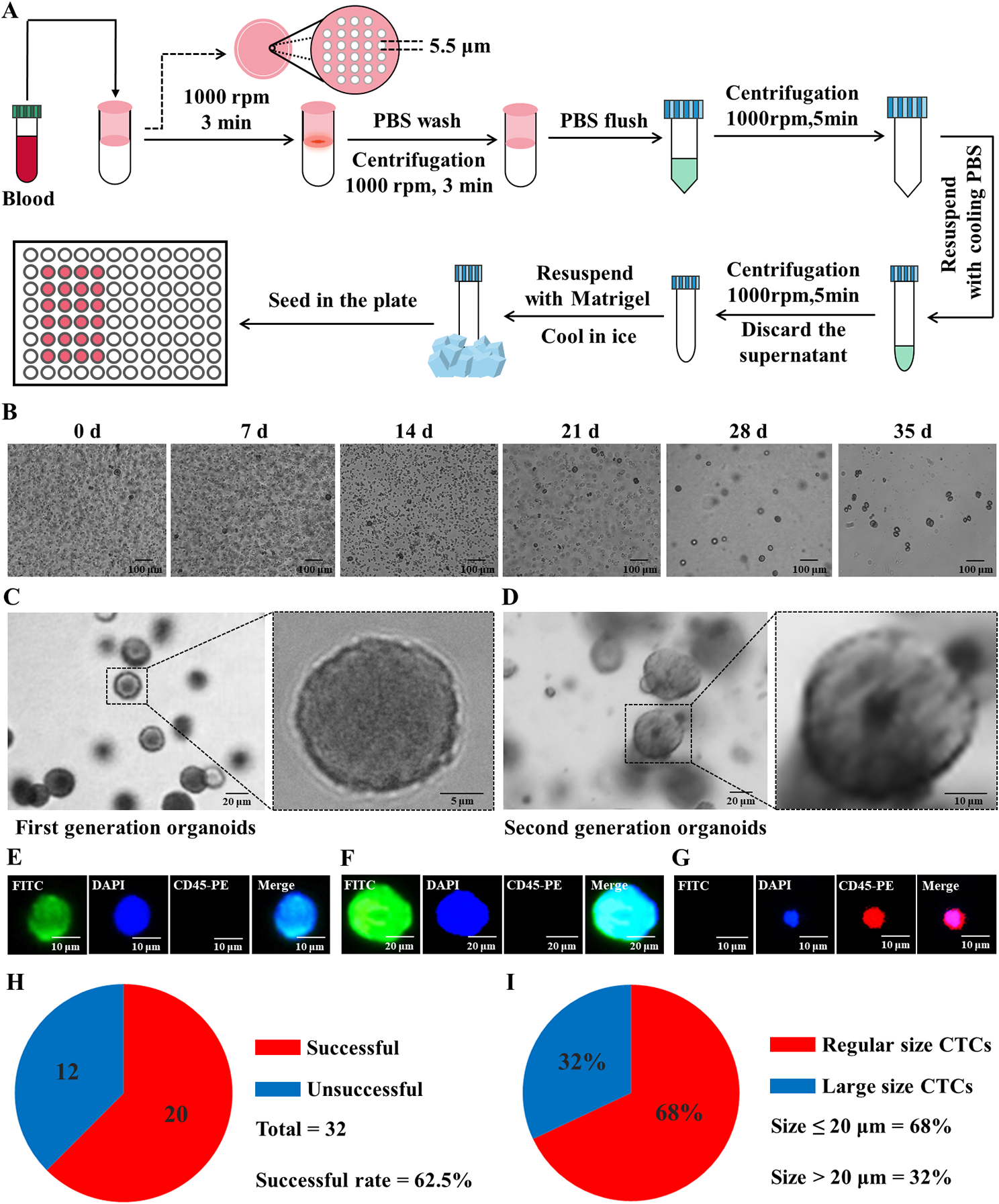 Circulating tumor cell-derived exosome–transmitted long non-coding RNA TTN-AS1 can promote the proliferation and migration of cholangiocarcinoma cells